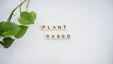plant-based-vegan-vegetarian